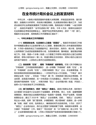 在全市统计局长会议上的发言材料