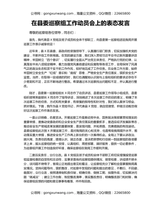 在县委巡察组工作动员会上的表态发言