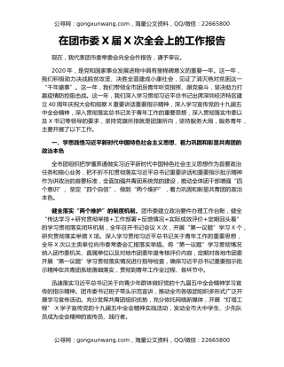 在团市委X届X次全会上的工作报告