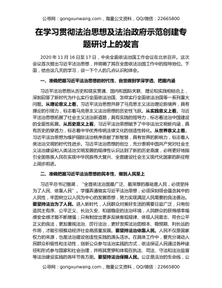 在学习贯彻法治思想及法治政府示范创建专题研讨上的发言