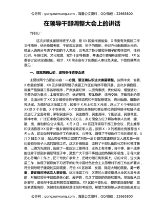 在领导干部调整大会上的讲话