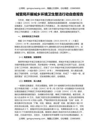 城管局开展城乡环境卫生整洁行动自查报告