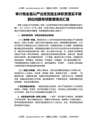 审计局全面从严治党党组主体职责落实不够到位问题专项整理情况汇报