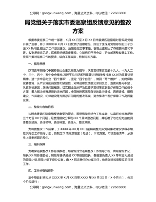 局党组关于落实市委巡察组反馈意见的整改方案