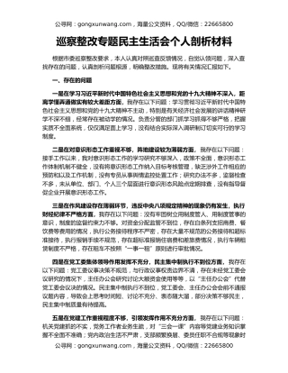 巡察整改专题民主生活会个人剖析材料