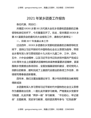 2021年某乡团委工作报告
