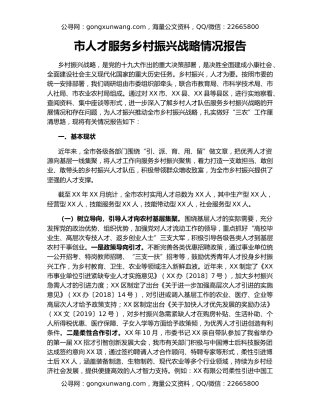 市人才服务乡村振兴战略情况报告