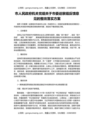 市人民政府机关党组关于市委巡察组反馈意见的整改落实方案