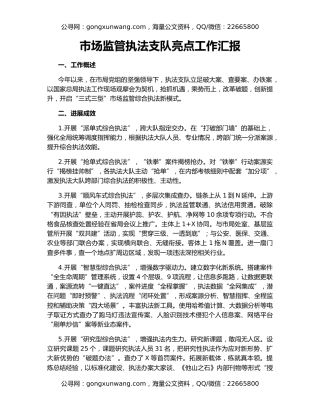 市场监管执法支队亮点工作汇报