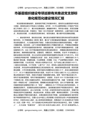 市基层组织建设专项巡察有关推进党支部标准化规范化建设情况汇报