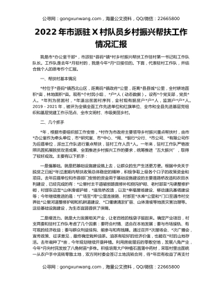 2022年市派驻X村队员乡村振兴帮扶工作情况汇报