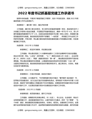 2022年度书记抓基层党建工作承诺书