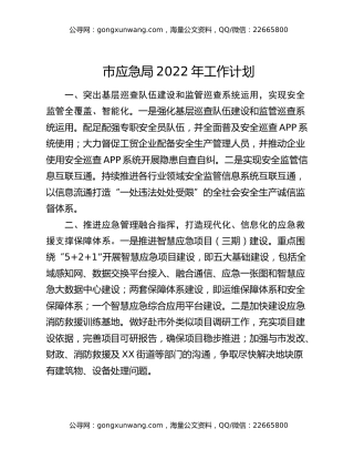 市应急局2022年工作计划