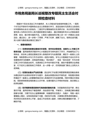 市税务局副局长巡视整改专题民主生活会对照检查材料