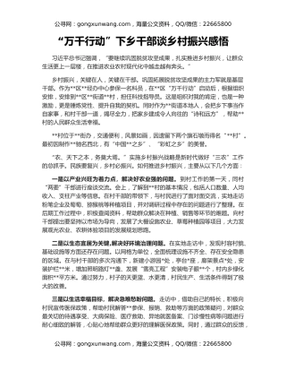 “万千行动”下乡干部谈乡村振兴感悟