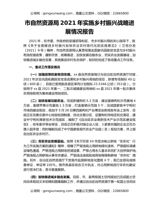 市自然资源局2021年实施乡村振兴战略进展情况报告