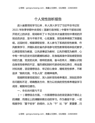 个人党性剖析报告