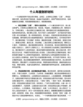 个人年度剖析材料