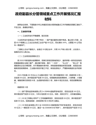 政府副县长分管领域重点工作开展情况汇报材料