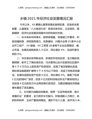 乡镇2021年经济社会发展情况汇报