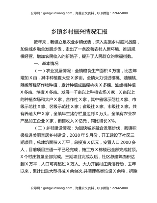 乡镇乡村振兴情况汇报