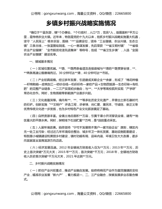 乡镇乡村振兴战略实施情况