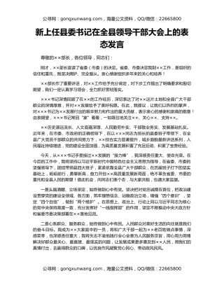 新上任县委书记在全县领导干部大会上的表态发言