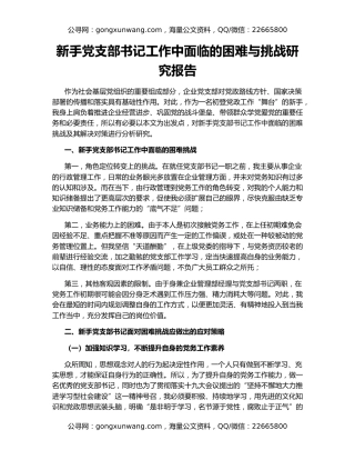 新手党支部书记工作中面临的困难与挑战研究报告