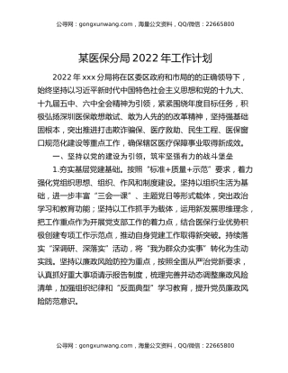 某医保分局2022年工作计划