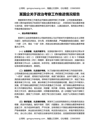 某国企关于政治考察工作推进情况报告