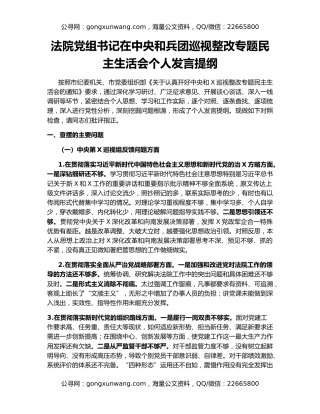 法院党组书记在中央和兵团巡视整改专题民主生活会个人发言提纲