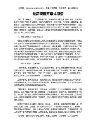 党员观看开幕式感悟