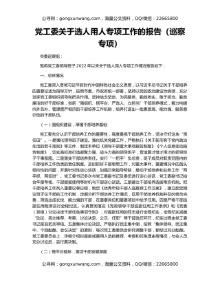 党工委关于选人用人专项工作的报告（巡察专项）