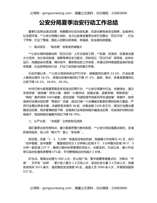 公安分局夏季治安行动工作总结
