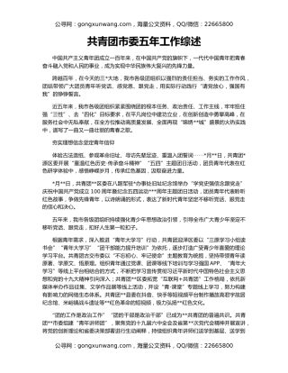 共青团市委五年工作综述