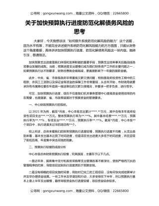 关于加快预算执行进度防范化解债务风险的思考