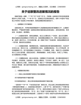 关于巡察整改进展情况的报告