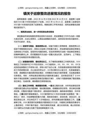 镇关于巡察整改进展情况的报告