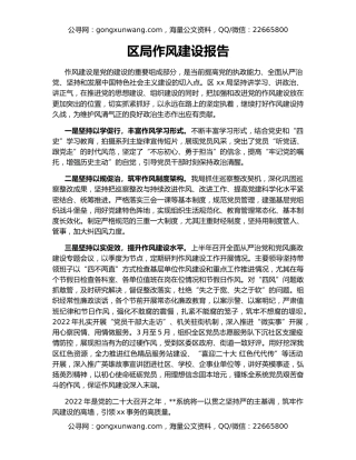 区局作风建设报告
