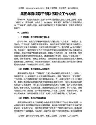 集团年度领导干部队伍建设工作总结