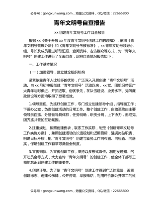 青年文明号自查报告