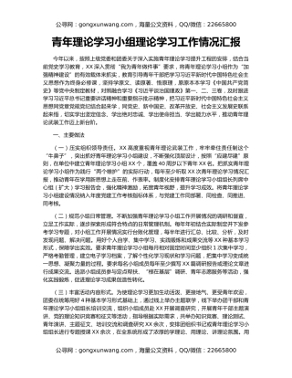 青年理论学习小组理论学习工作情况汇报