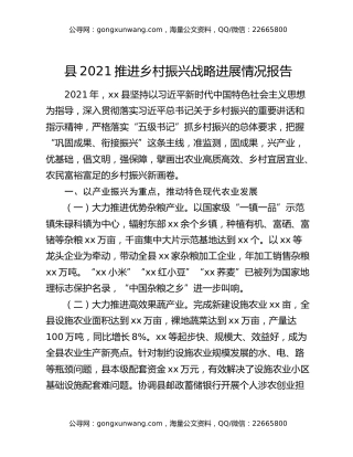 县2021推进乡村振兴战略进展情况报告