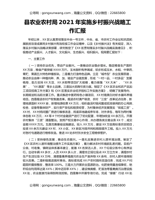 县农业农村局2021年实施乡村振兴战略工作汇报