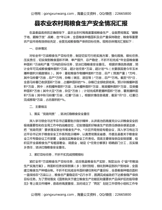 县农业农村局粮食生产安全情况汇报