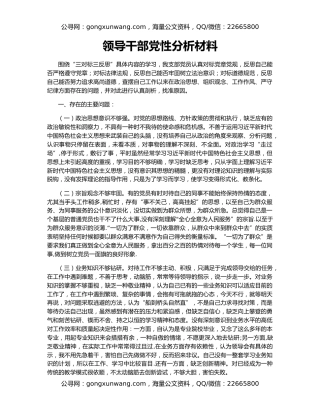 领导干部党性分析材料（2）