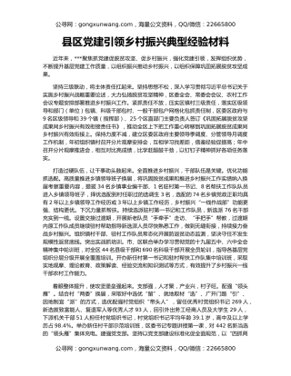 县区党建引领乡村振兴典型经验材料