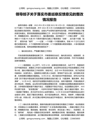 领导班子关于落实市委巡察反馈意见的整改情况报告