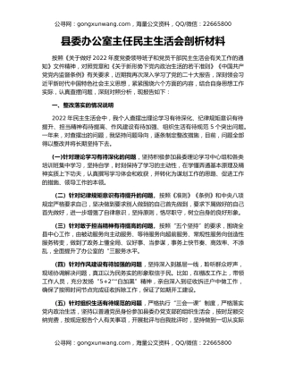 县委办公室主任民主生活会剖析材料