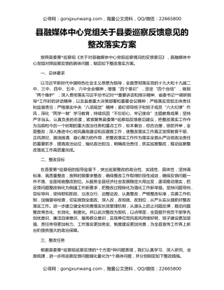 县融媒体中心党组关于县委巡察反馈意见的整改落实方案